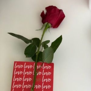 Meet your Posher, Dina